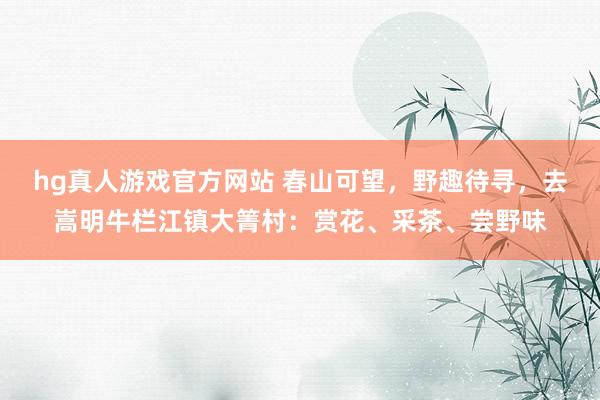 hg真人游戏官方网站 春山可望，野趣待寻，去嵩明牛栏江镇大箐村：赏花、采茶、尝野味