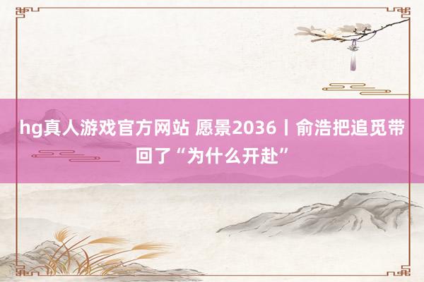 hg真人游戏官方网站 愿景2036丨俞浩把追觅带回了“为什么开赴”