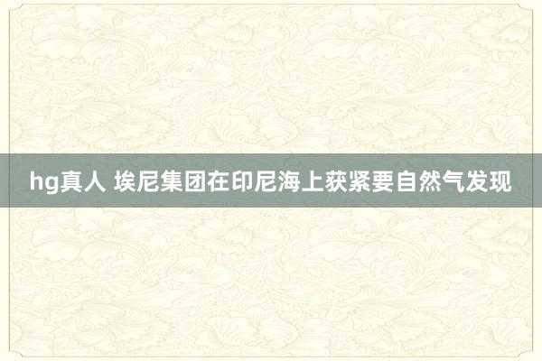 hg真人 埃尼集团在印尼海上获紧要自然气发现