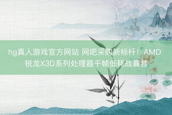 hg真人游戏官方网站 网吧采购新标杆！AMD 锐龙X3D系列处理器千帧低耗战曩昔